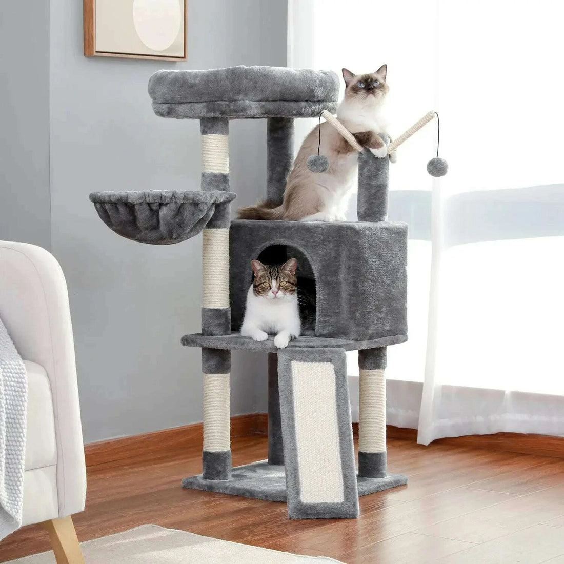 Arbre à chat gris installé près d'un fauteuil, un chat ragdoll perché sur la niche et un chat tigré à l'intérieur