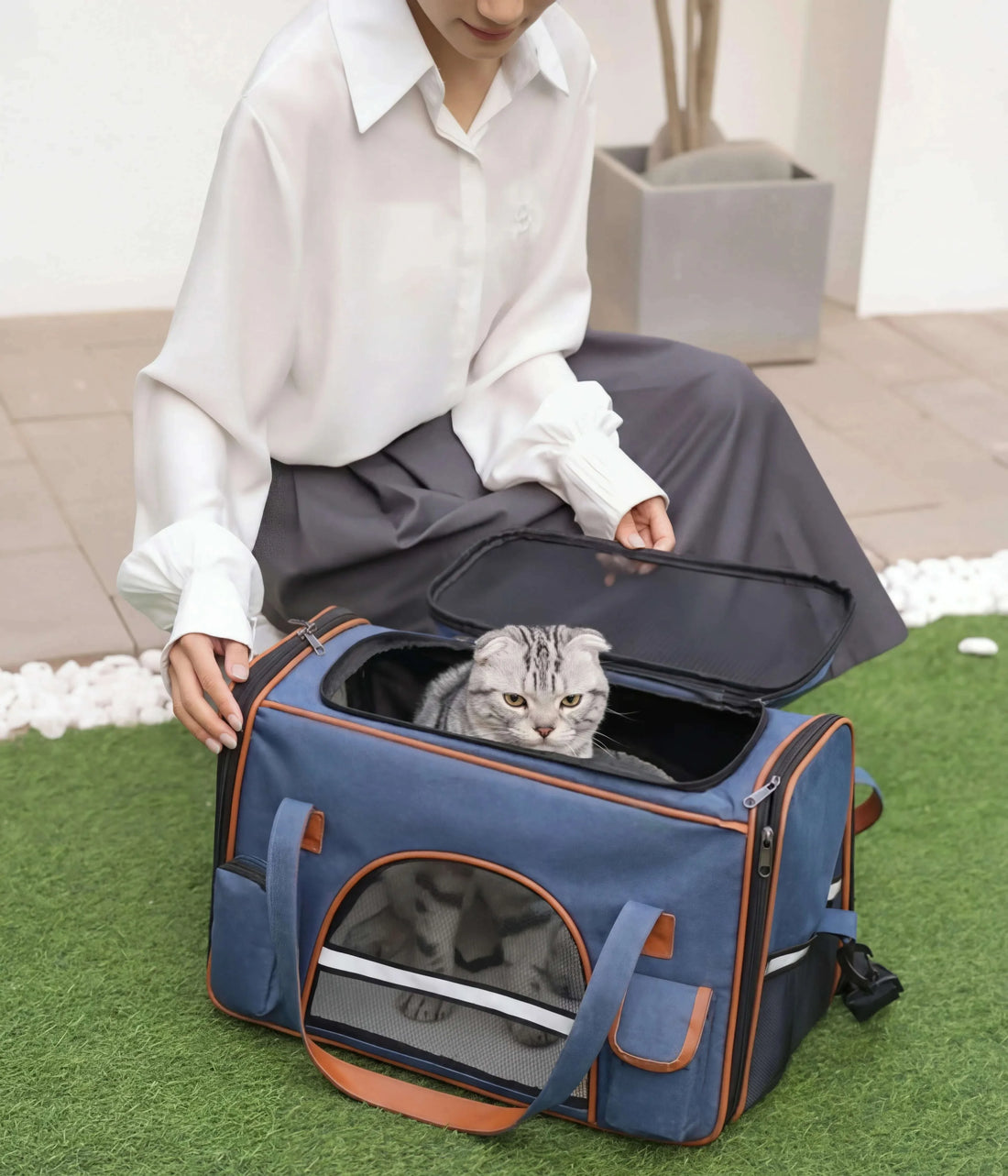 Sac de transport bleu marine ouvert sur l'herbe, avec un chat Scottish Fold gris qui regarde vers l'objectif